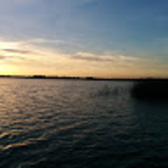 Meet your Posher, J. - Picture 1 of 1